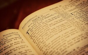 An open book with words written on it.