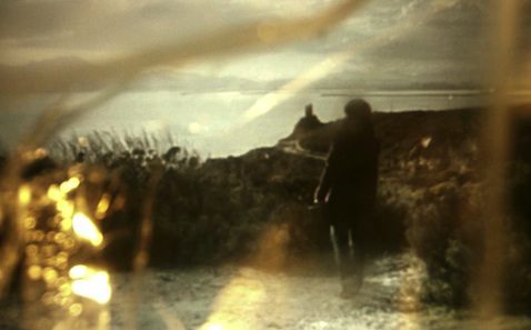 A man is walking down a path near the ocean.