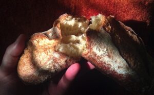 A person holding a piece of bread in their hand.