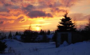The sun is setting over a snow covered area with trees.