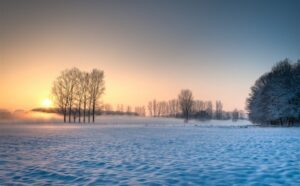 Sunrise over a snow covered field.